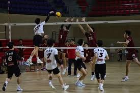 徐杰合肥战三分9中7砍23分6助，狂飙追身三分